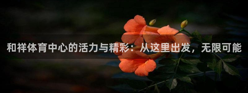 海南oety欧亿体育官网下载:和祥体育中心的活力与精彩:从这