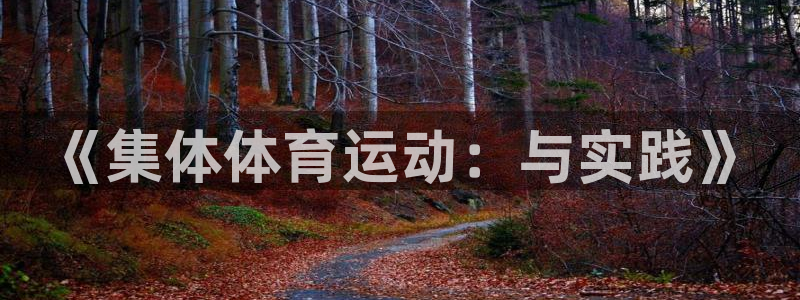 欧亿体育官方正版app娱乐:《集体体育运动:与实践》